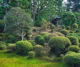 Tōfuku-ji - jardín