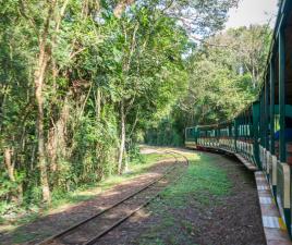 Tren ecológico Iguazú