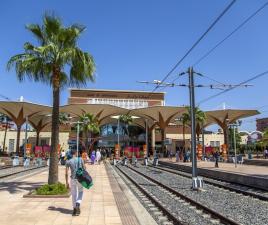 tren marruecos