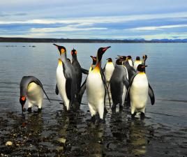 ushuaia argentina