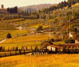 valle chianti