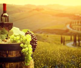 vinos italia