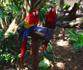 Parque Xcaret