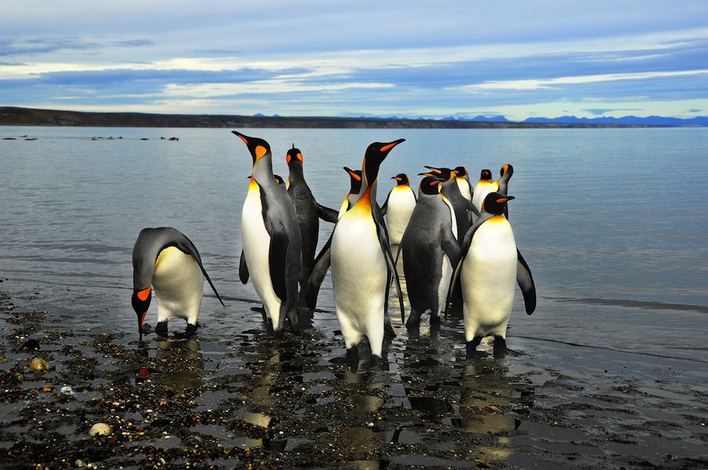 ushuaia argentina