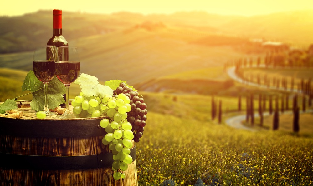 Resultado de imagen de vinos italianos