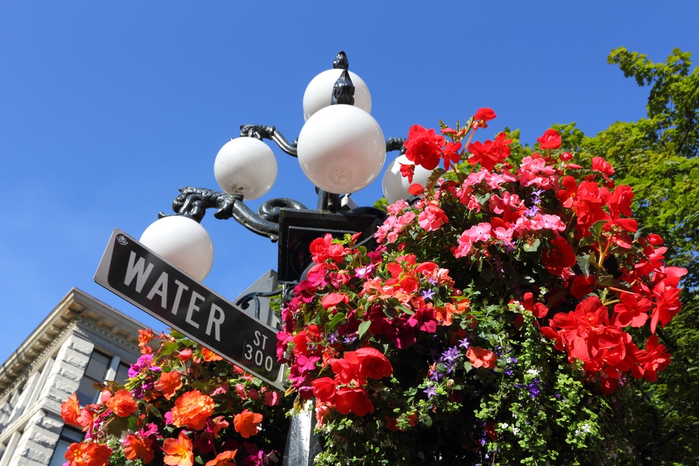 Señal de la calle Water con flores colgantes