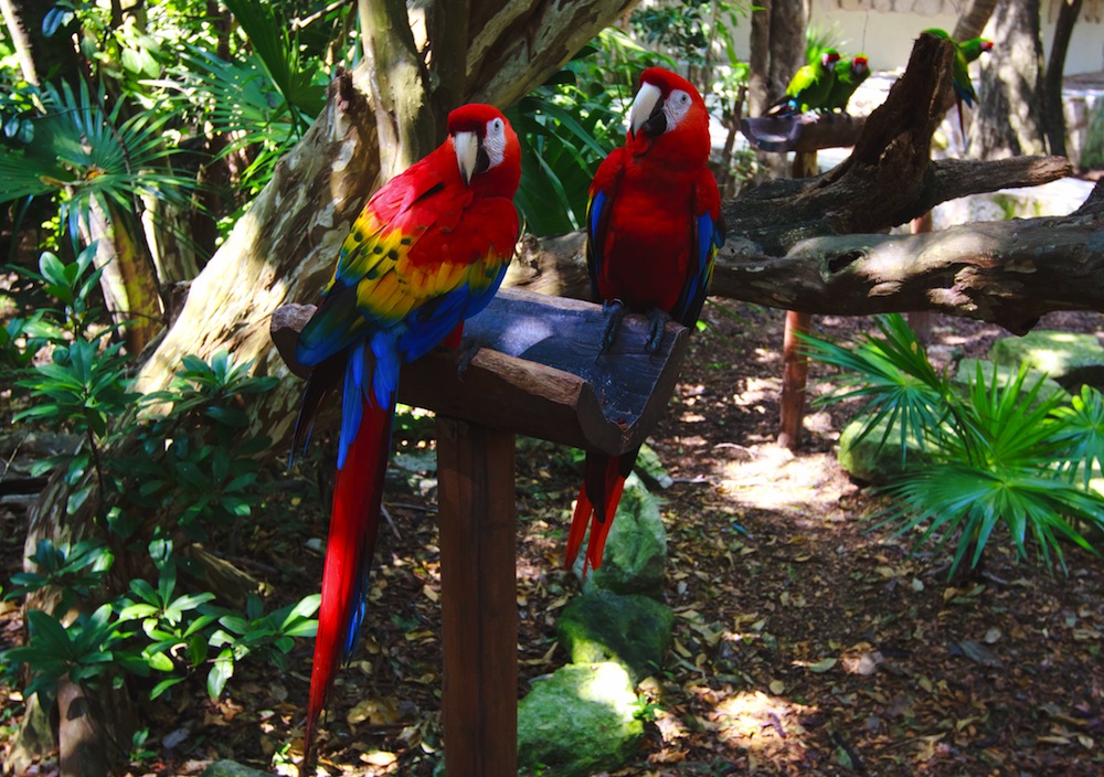 Parque Xcaret